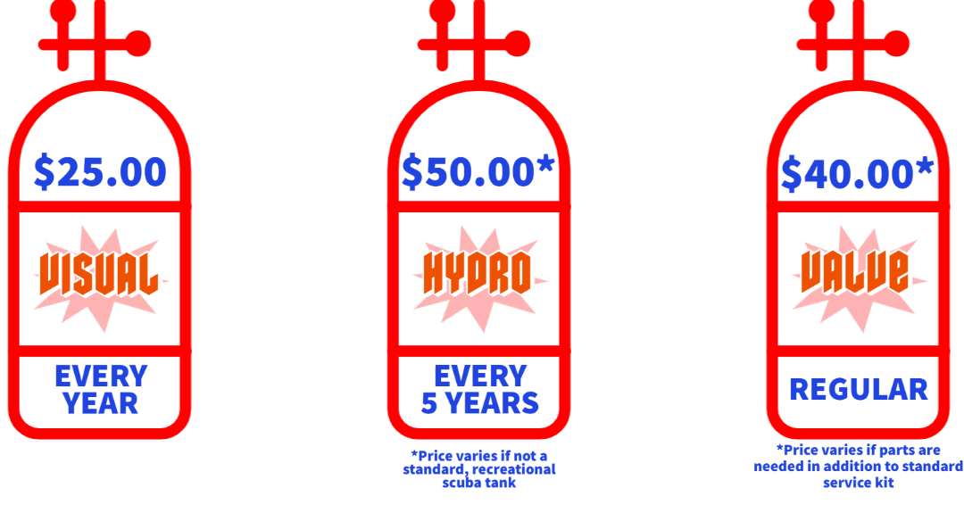 Scuba Tank Testing Maui Dreams Dive Co